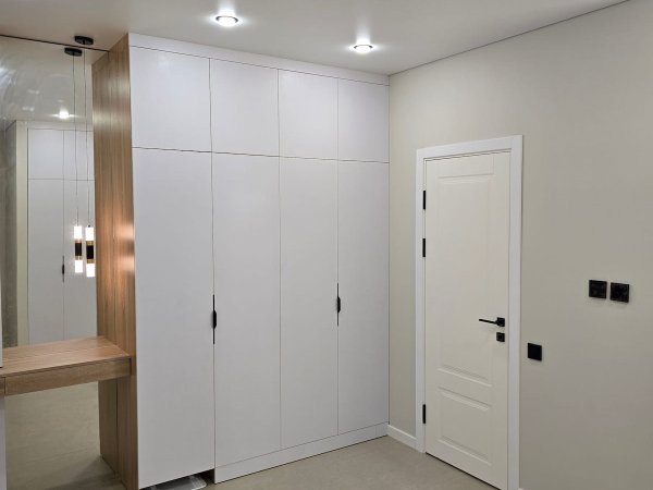 Прихожая с встроенным шкафом и парковкой для робота-пылесоса — вид со стороны входа